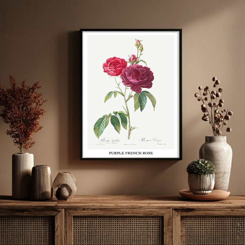 Purple French Rose Joseph Redout Archival Canvas Wall Painting - Black Frame