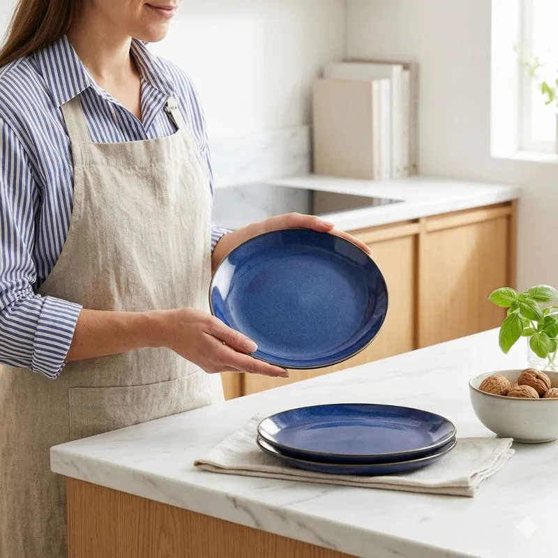 MealZone Ceramic Dinner Plate media 8