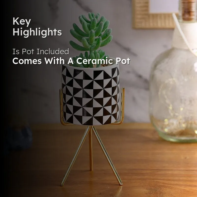 Faux Senecio In Patterned Pot With Tripod - 21.5 cms media 2