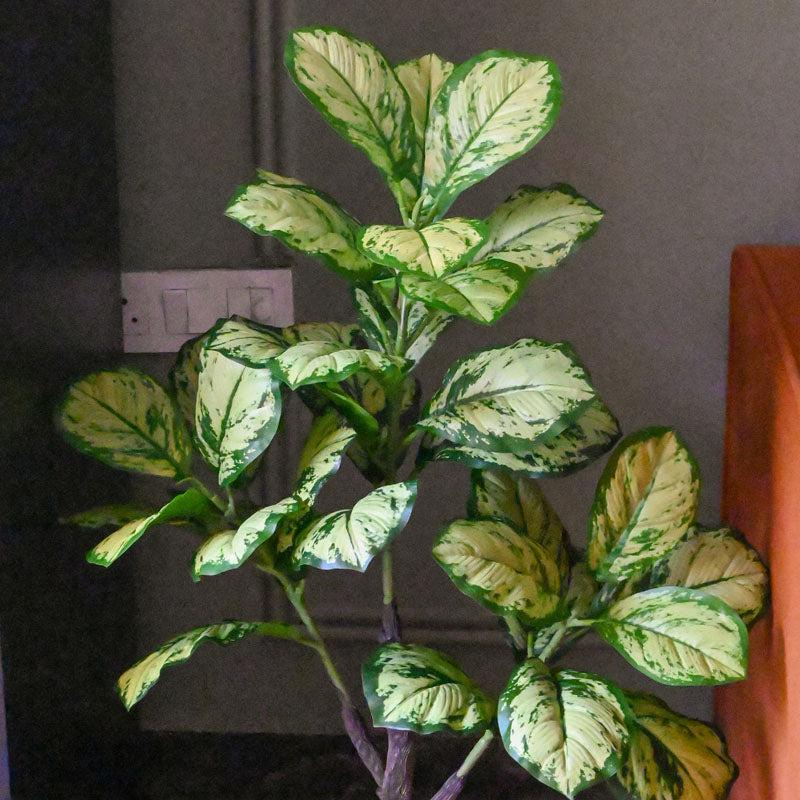 Faux Everlasting Dieffenbachia Honeydew Plant With Black Plastic Pot - 95 cm (3.1 ft) media 3