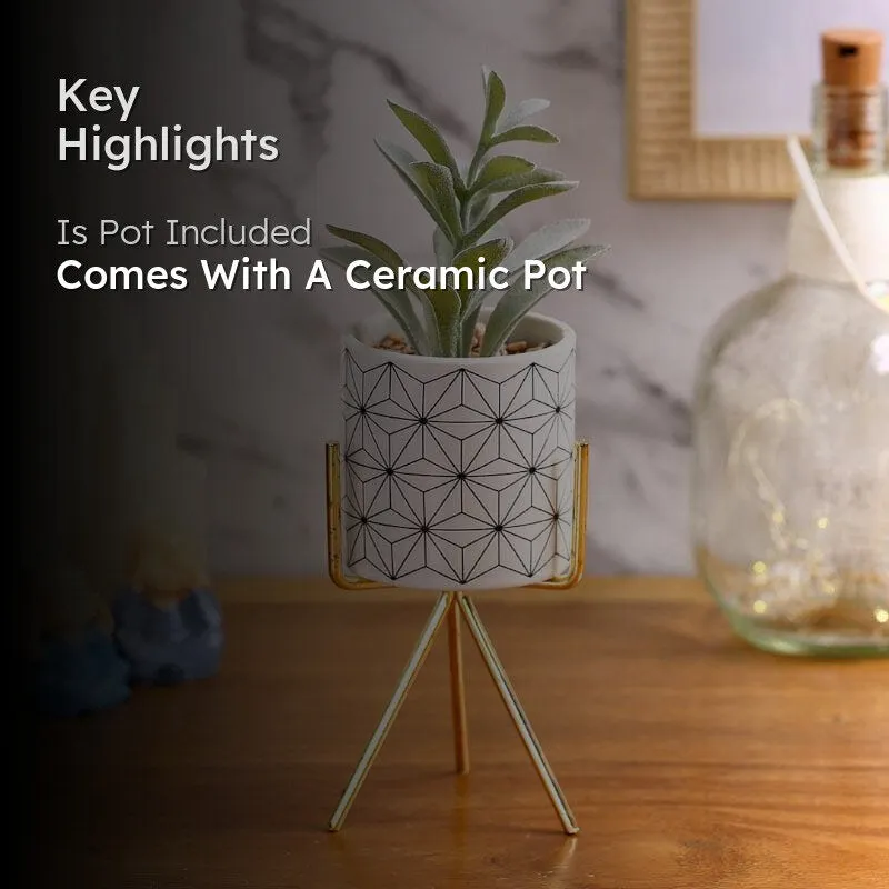 Faux Succulent In Minimalist Pot With Tripod - 23.5 cms media 2