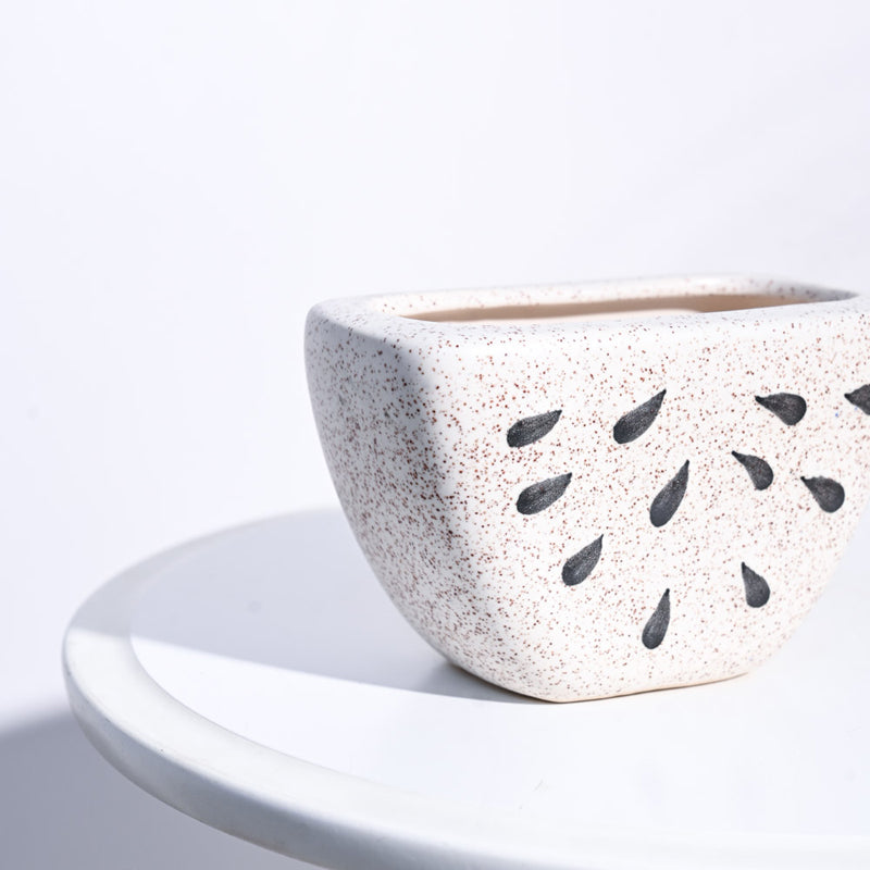 Ugaoo Watermelon Matte Finish White Ceramic Planter media 4