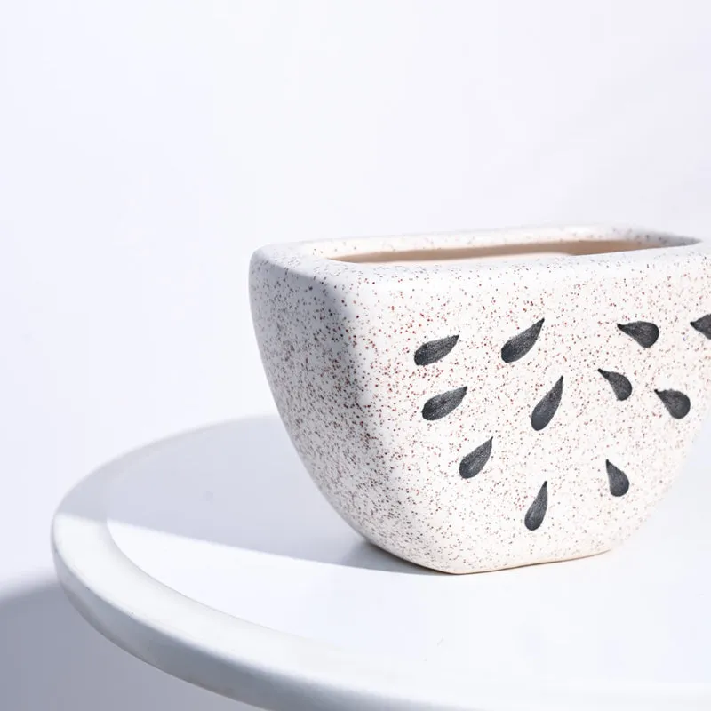 Ugaoo Watermelon Matte Finish White Ceramic Planter media 4