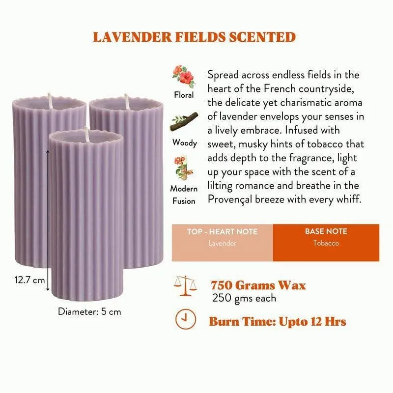 Lavender Fields Ribbed Pillar Scented Candles - Set Of 3 media 5