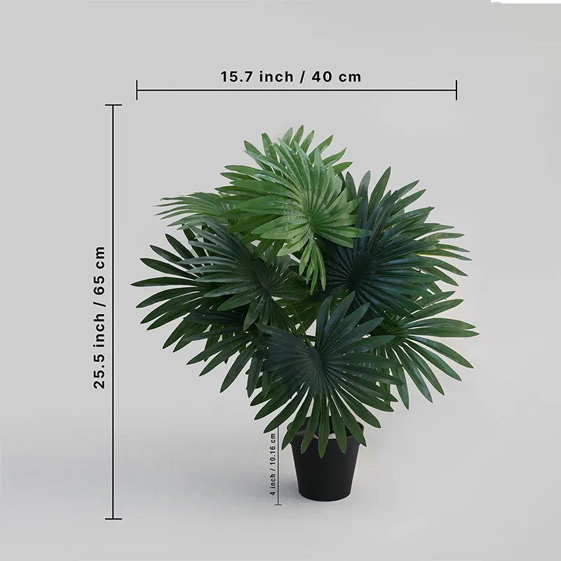 Faux Everlasting Areca Plant With Black Plastic Pot - 65 cm (2.1 ft) media 4
