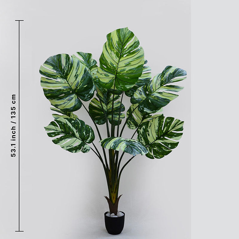 Faux  Tropical Monstera Artificial With Black Plastic Pot - 135 cm (4.4 ft) media 4