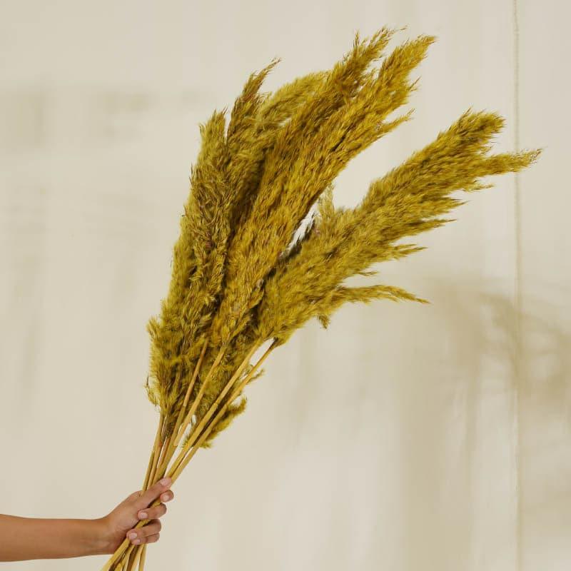 Puffy Pampas Stems (2.62 ft) - Yellow media 3