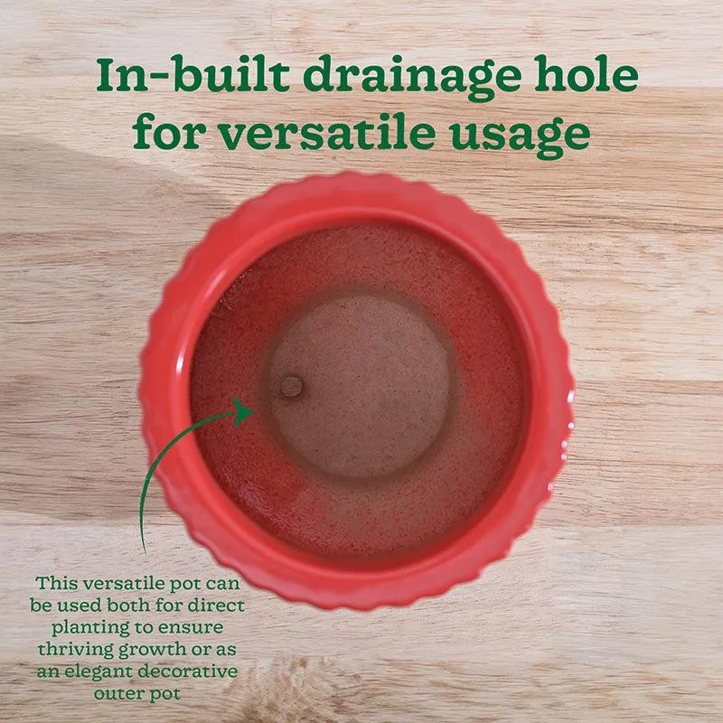 Ugaoo Classic Stria Ceramic Planter - Red media 7