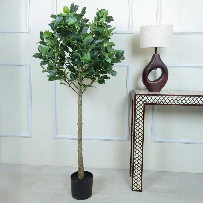 Artificial Topiary Camelia Leaf Plant With Black Fiber Pot - 4.2 Feet media 3