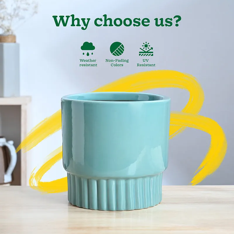 Ugaoo Sleepy Sprout Round Ceramic Planter - Blue media 6
