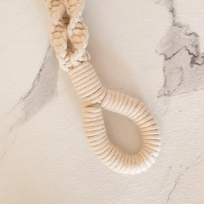 Amari Macrame Planter - Set Of Four media 5