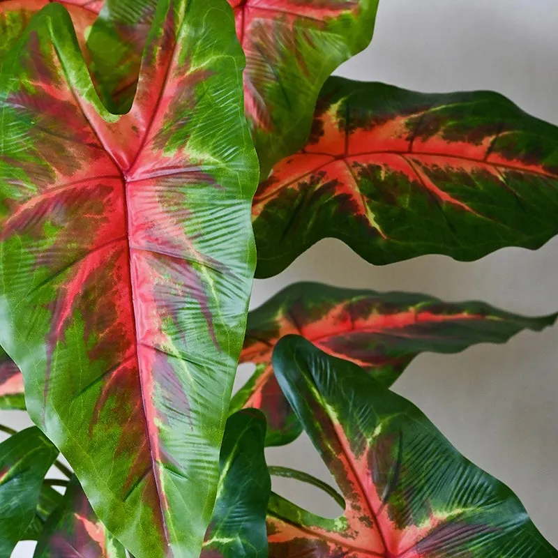 Faux Red Flash Caladium Artificial Plant With Black Plastic Pot - 79 cm (2.6 ft) media 5