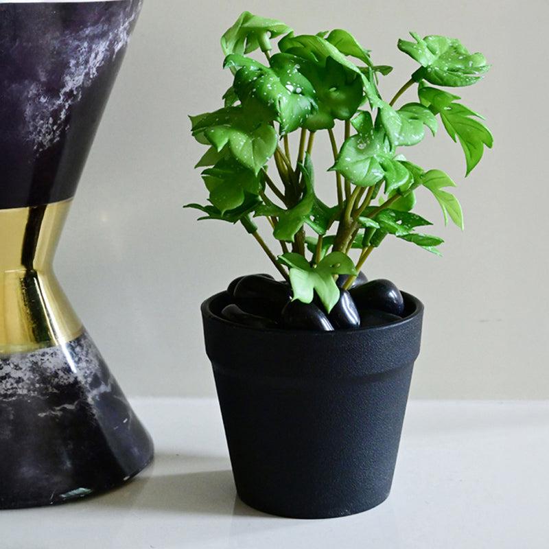 Minstera Artificial Mini Monstera Plant With Black Plastic Pot (Light Green) - 16 cm media 6