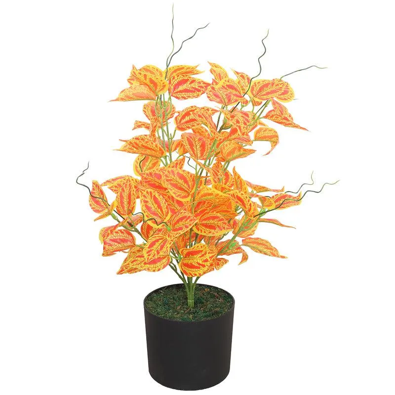 Petal Glow Artificial Plant With Black Plastic Pot media 3