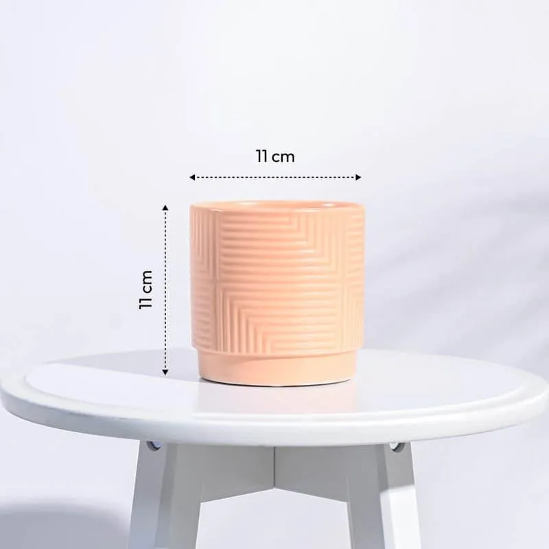 Micola Ceramic Planter - Peach media 6