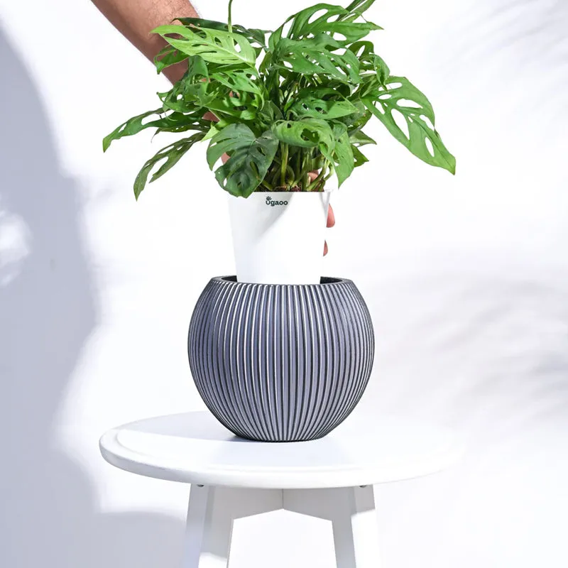 UGAOO Planter Vase Ball Groove - Black media 5