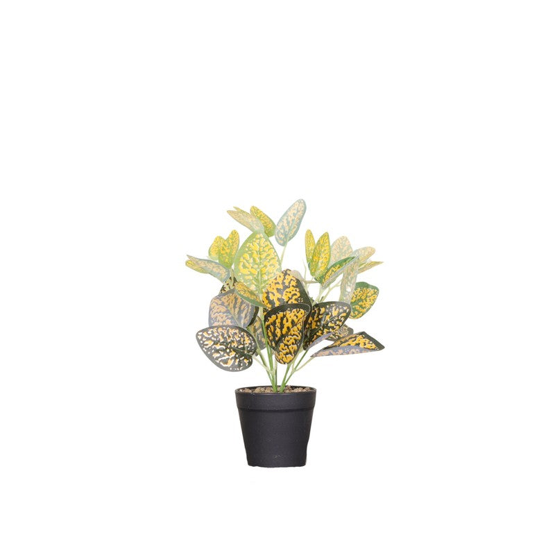Artificial Dotted Philodendron Plant With Black Fiber Pot (Yellow) - 0.9 Feet media 4