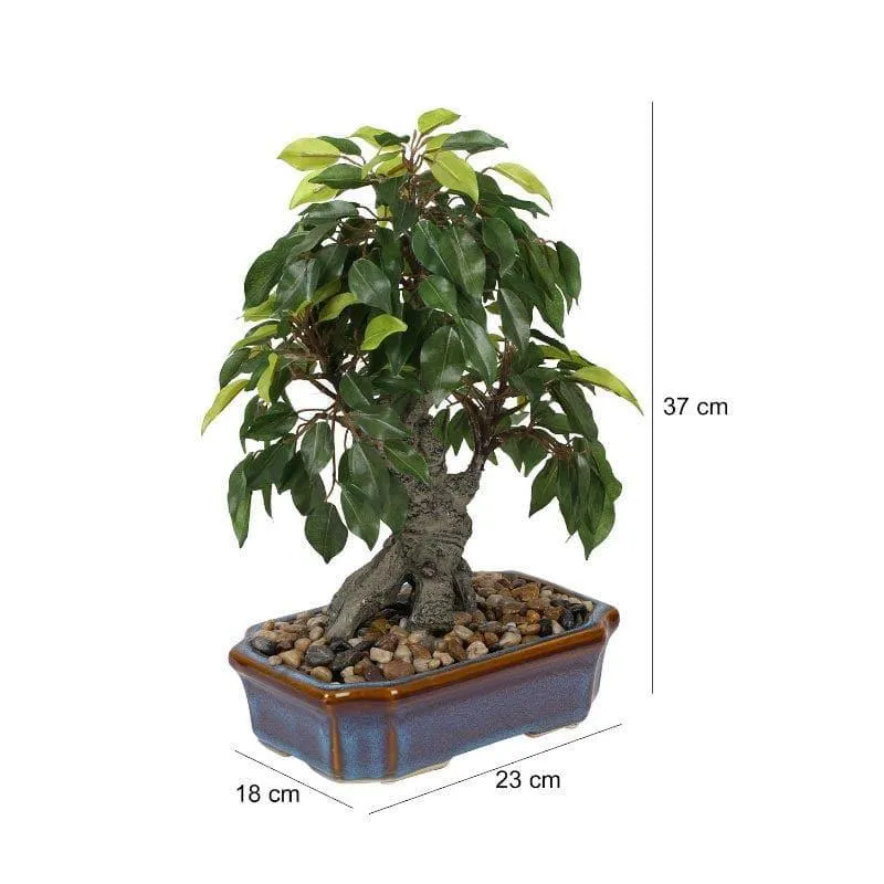 Faux Ficus Bonsai In Tray Pot - 37 cms media 5