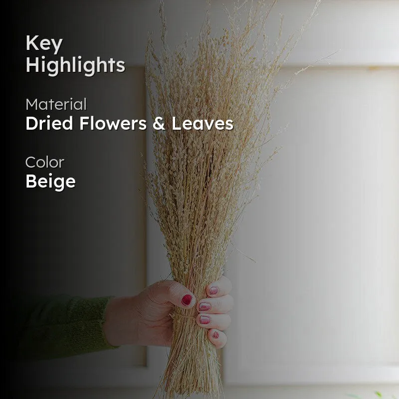 Aurora Stems Dried Flower Bunch media 2
