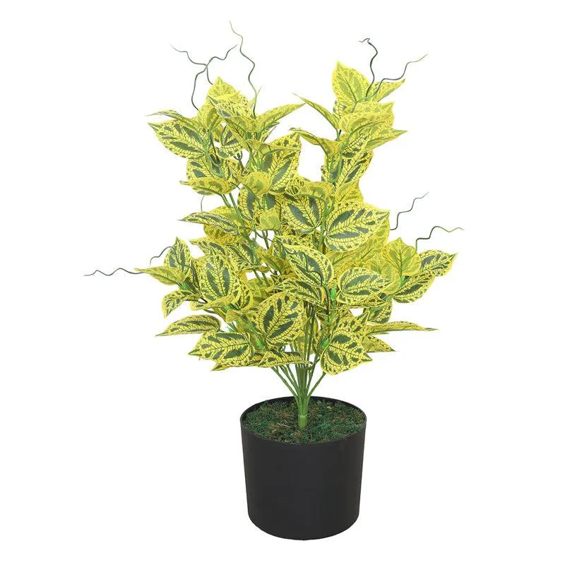 Botanic Dream Artificial Plant With Black Plastic Pot media 3