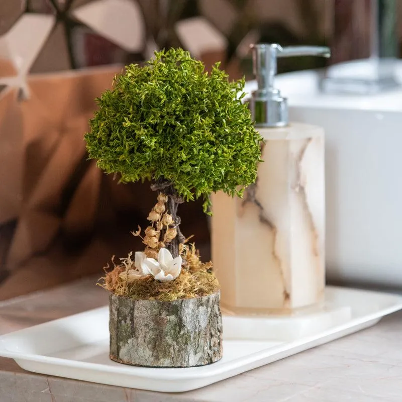 Pandora Bonsai Tree media 4