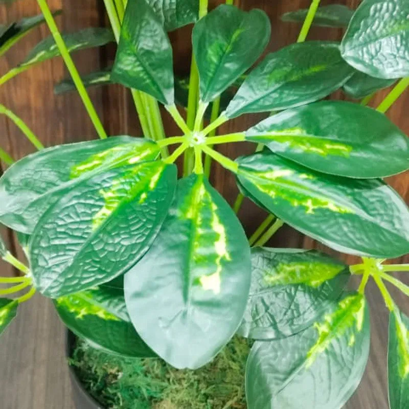 LeafMuse Schefflera Artificial Plant Without Pot - 2.3 Feet media 4