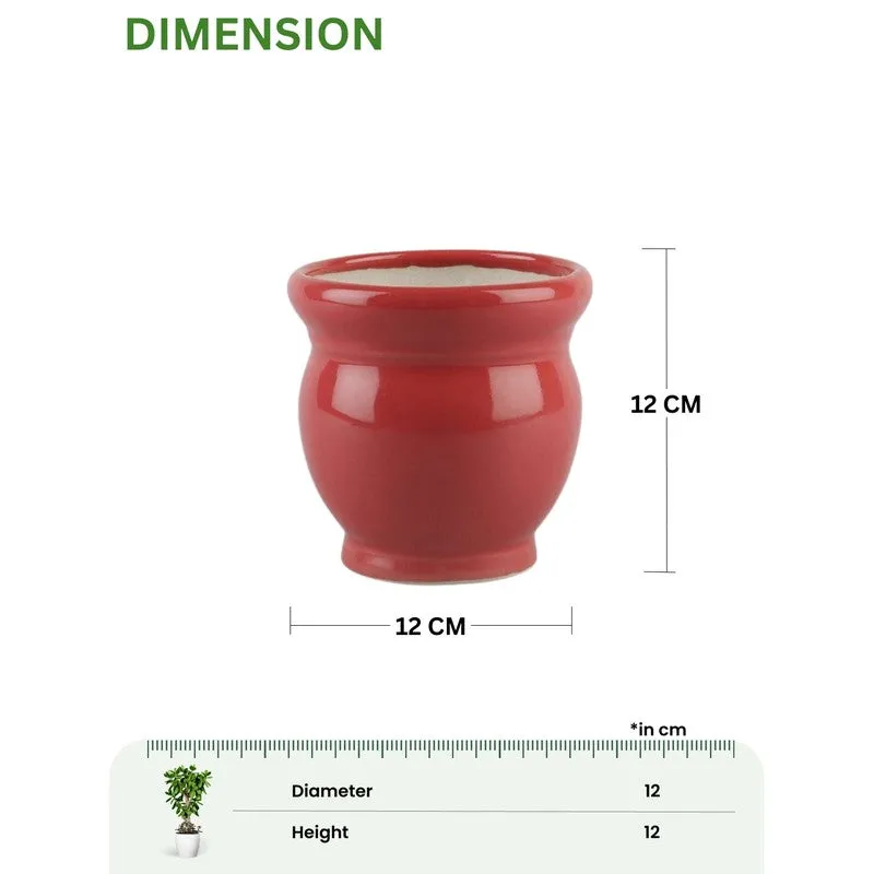 VelourVista Pots Red - Set Of Two media 10