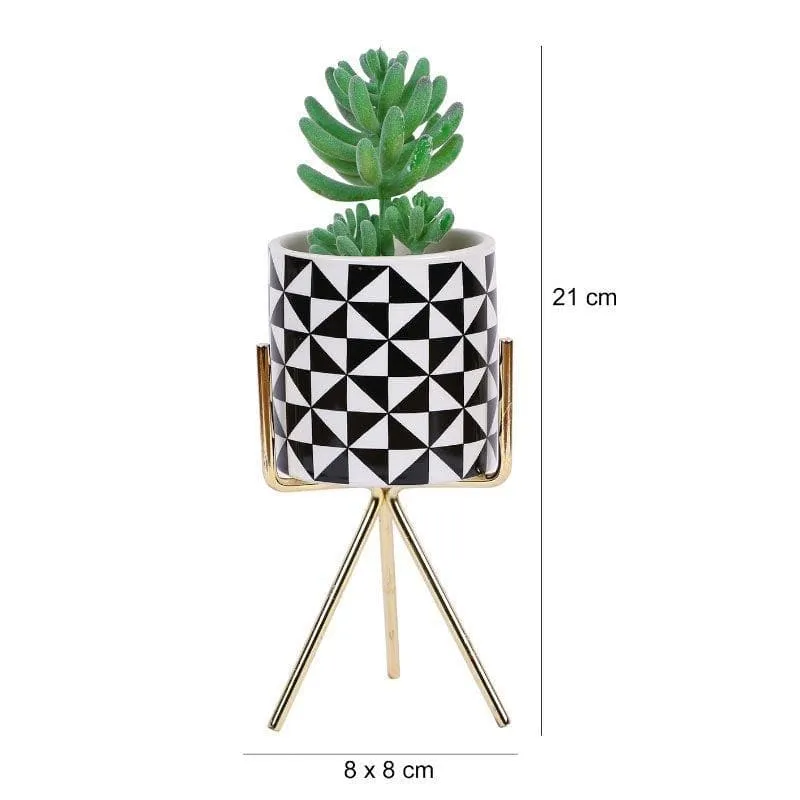 Faux Senecio In Patterned Pot With Tripod - 21.5 cms media 5