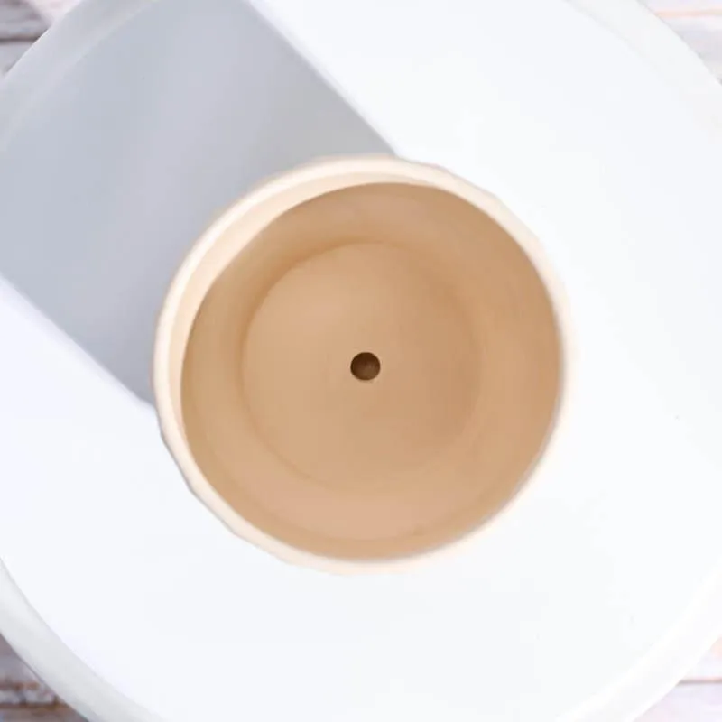 Lexie Ceramic Planter - Ivory media 6