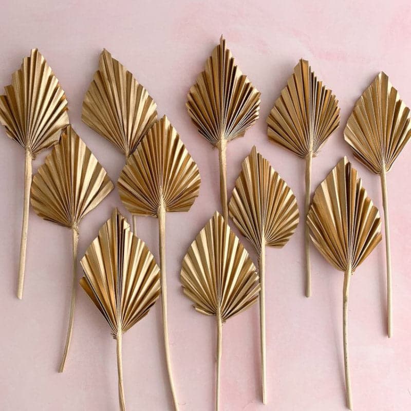 Naturally Dried Golden Palm Leaf Bunch - Set Of Five media 3
