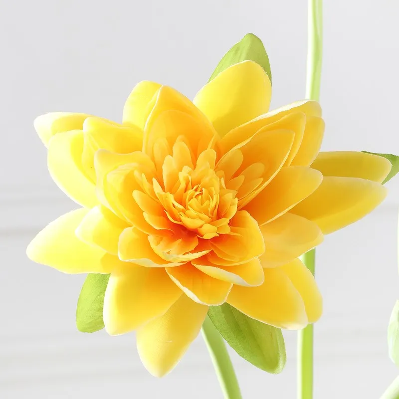 Lotus Bloom Stem with Leaves - Yellow media 5