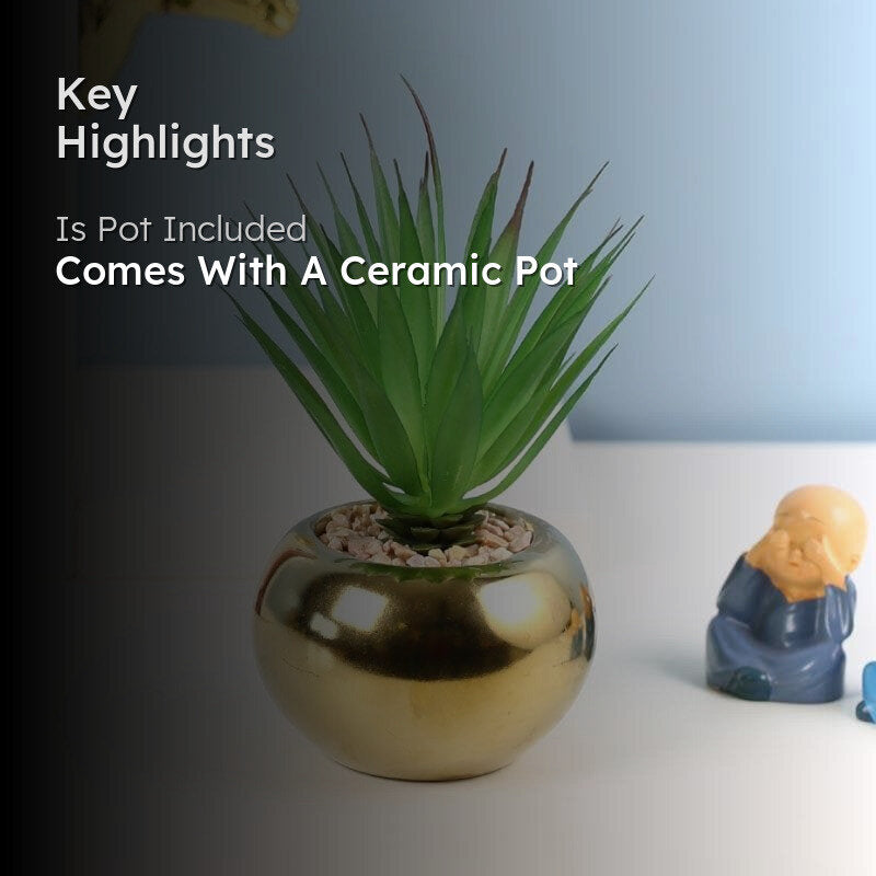 Faux Agave In Round Ceramic Pot - 14.5 cms media 2