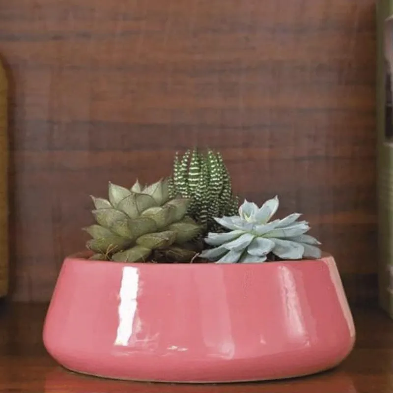 Ugaoo Tulip Fantasy Ceramic Planter (19 CM) - Magenta media 4