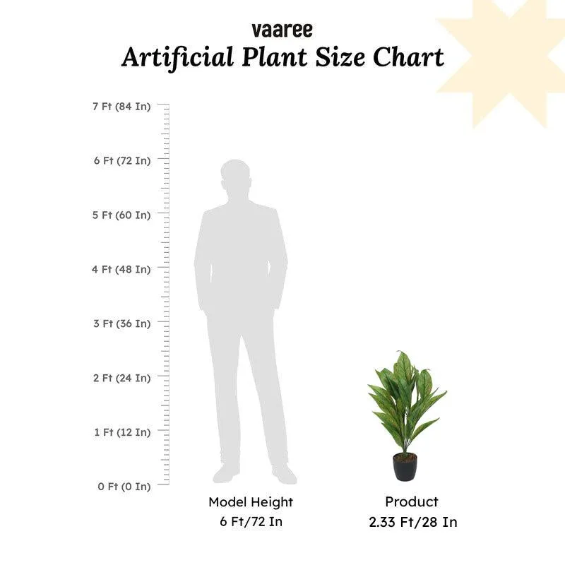 Faux Lush Dieffenbachia Plant With Black Plastic Pot - 2.3 Feet media 7