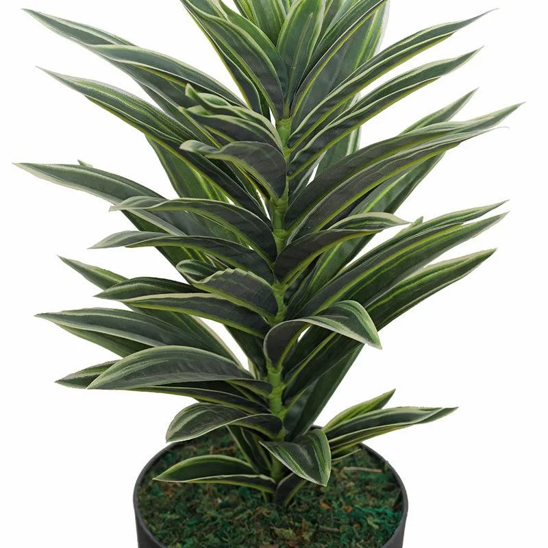 Green Reverie Artificial Plant With Black Plastic Pot media 6