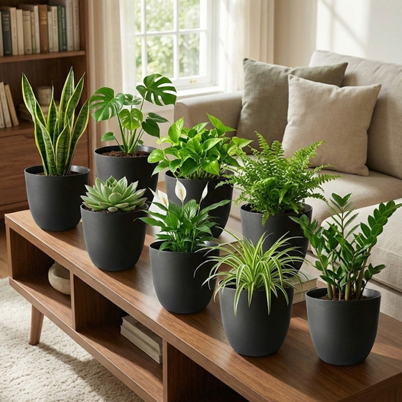 Eclipse Garden Planter - Set Of Eight