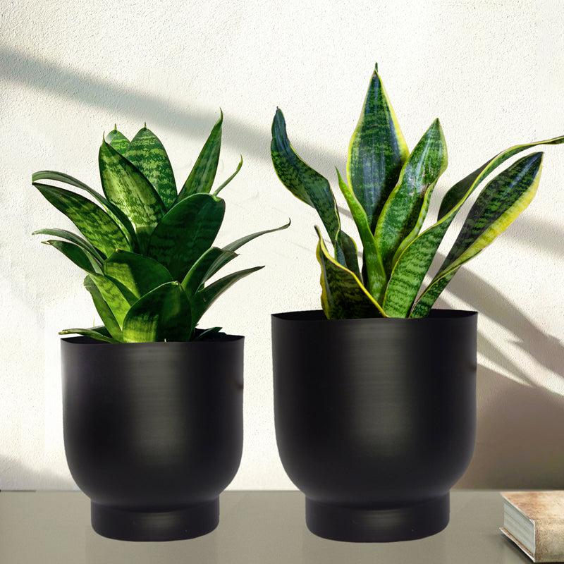 Bromo Metal Planter (Balck) - Set Of Two media 3