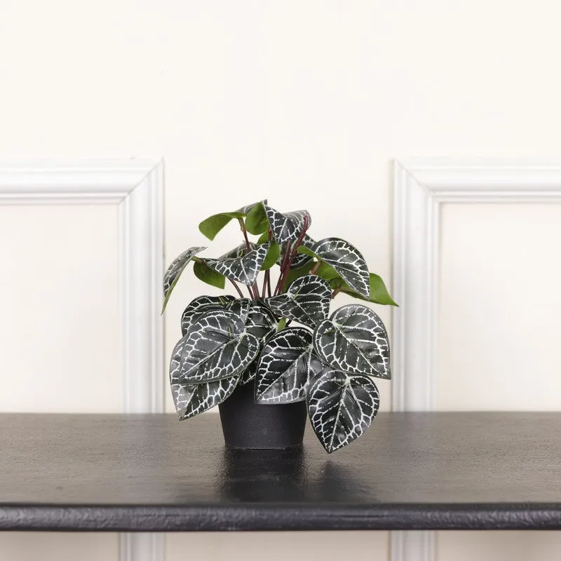 Artificial Philodendron Plant With Black Fiber Pot (Silver) - 0.6 Feet media 3