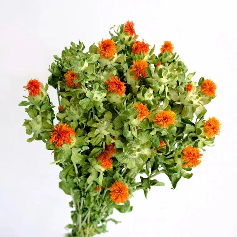 Dried Safflower - Set Of Five media 7