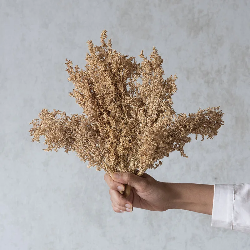 Dune Dried Corn Grass media 4