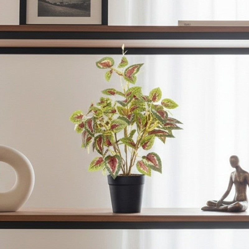 Artificial Coleous Plant With Black Fiber Pot - 1 Feet media 5
