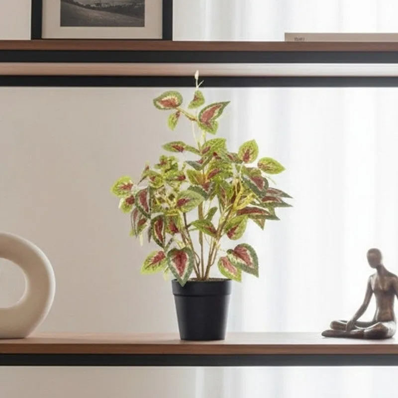 Artificial Coleous plant displayed on a shelf beside neutral home décor