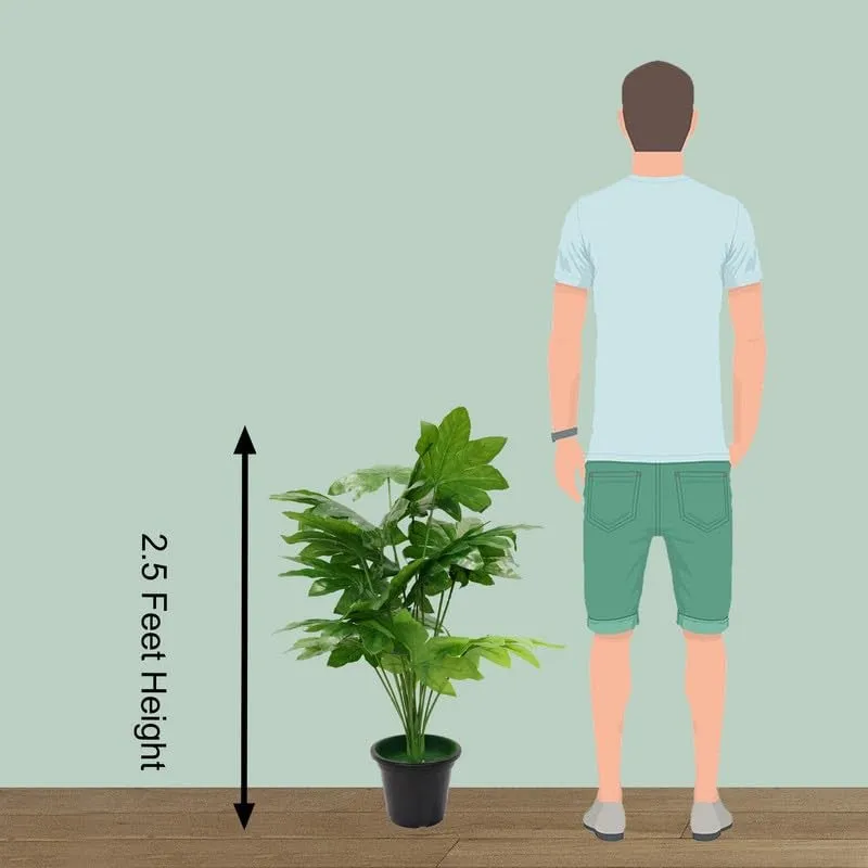 Botanest Artificial Papaya Leaves Plant - 2 Feet media 6