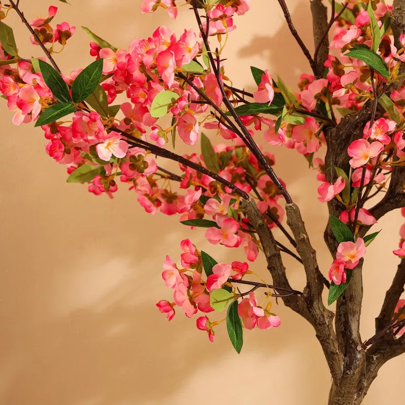 Cherry Blossom Plant With Black Plastic Pot - 5 ft media 9