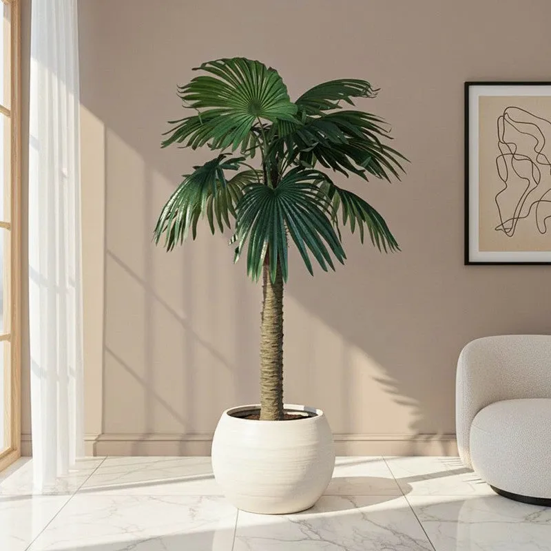 Dune Oasis Artificial Palm With Black Plastic Pot - 5 Feet media 1