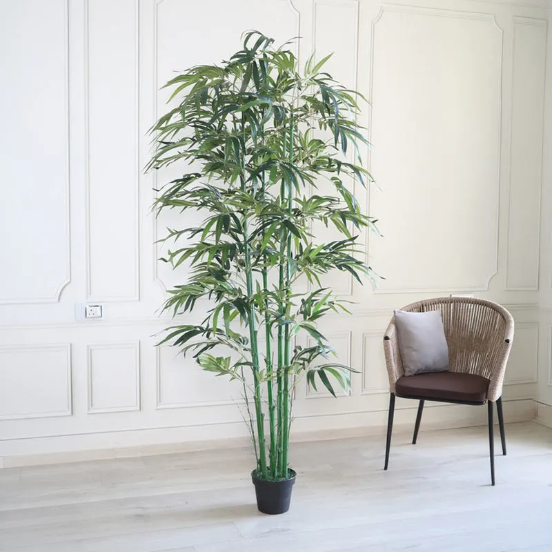 NatureNest Artificial Plant With Black Plastic Pot - 6.9 ft media 4