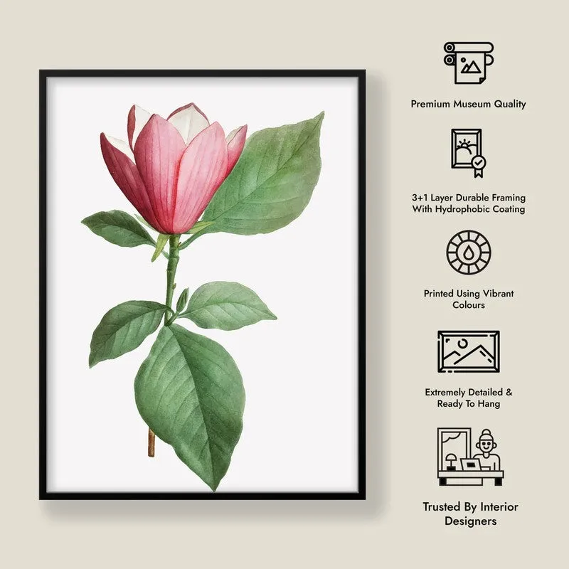 Padma Palette Archival Paper Wall Art With Frame media 8