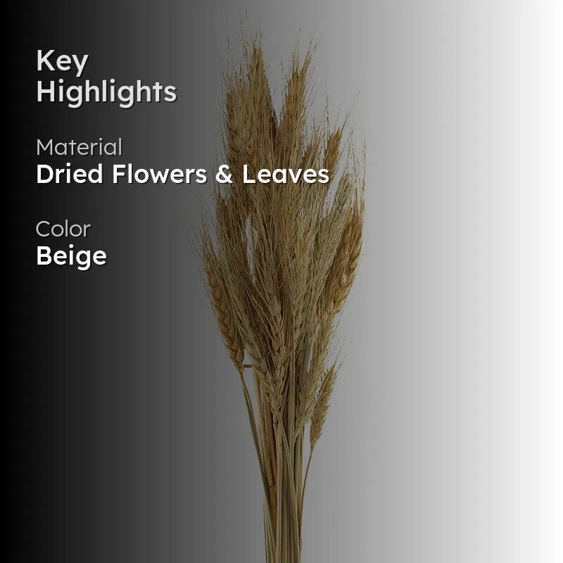 Yinira Naturally Dried Wheat Grass media 2