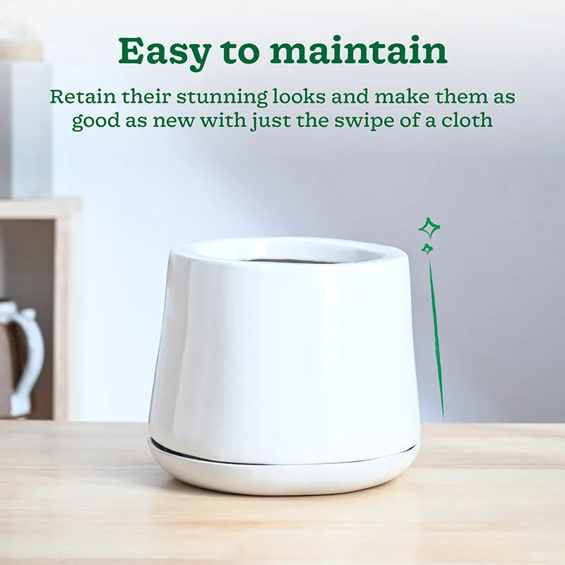Ugaoo Captain Clay Ceramic Planter - White & Green media 4