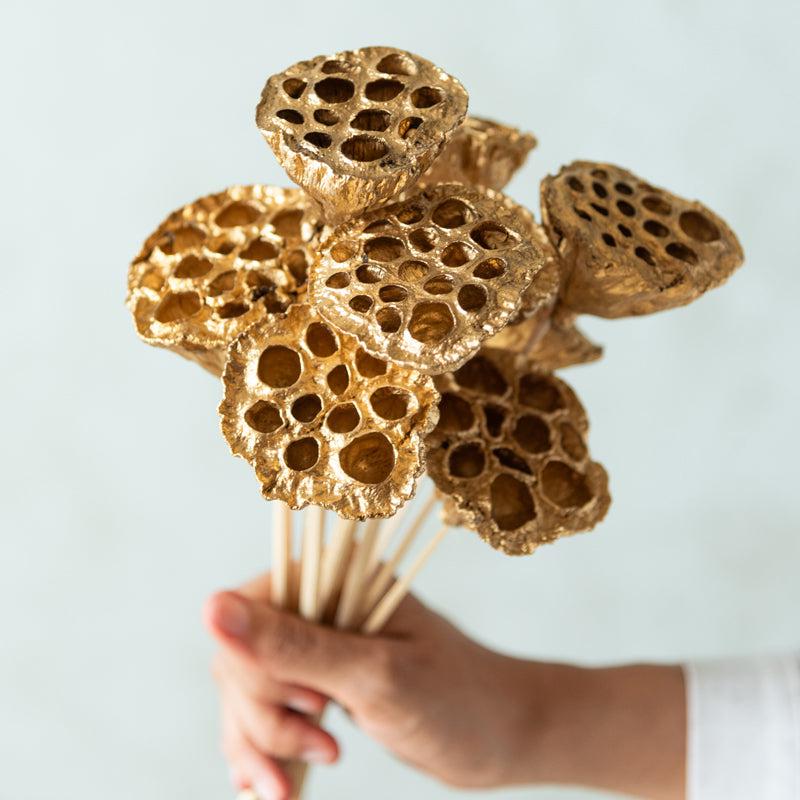 Nala Golden Lotus Pod on Stem - Set Of Ten media 3